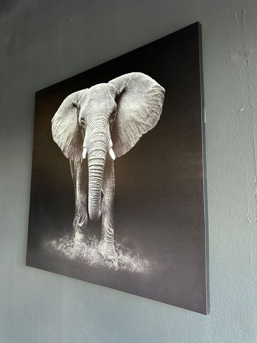 Quadro Decorativo Elefante – Imponente e Sofisticado