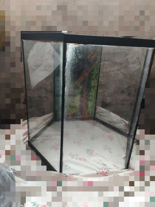 Akwarium sześciokątne 50L