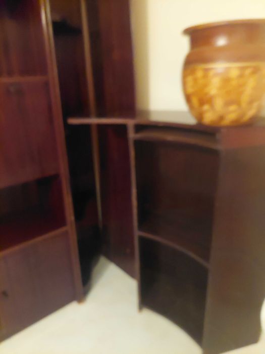 Elegsnte pote cerâmico decorativo