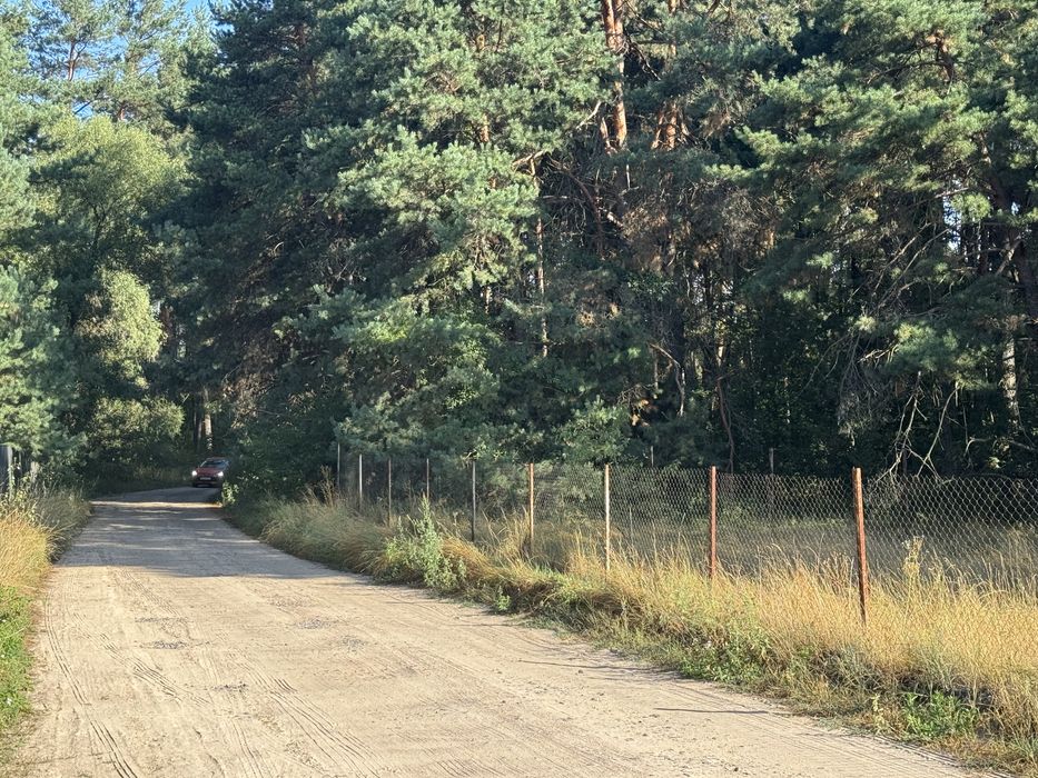 Земельна ділянка у лісі під будівництво!1,25 га -Миколаївка