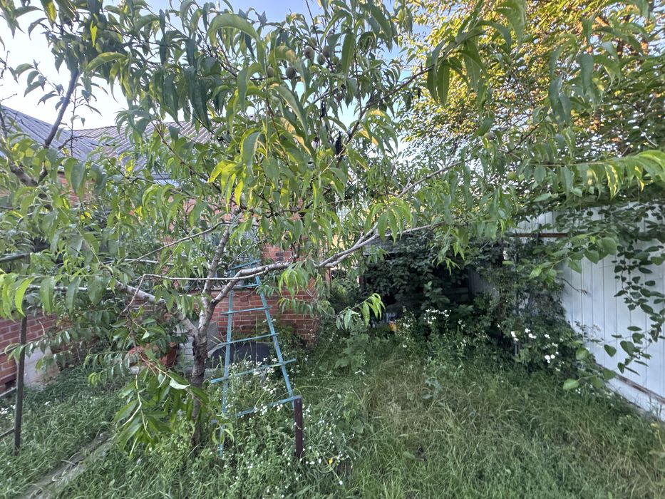 Сдам дом Люботин  Водяное речка пруд лес отдых