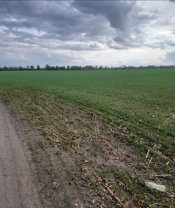 Продам Пай, у Вінницькому районі