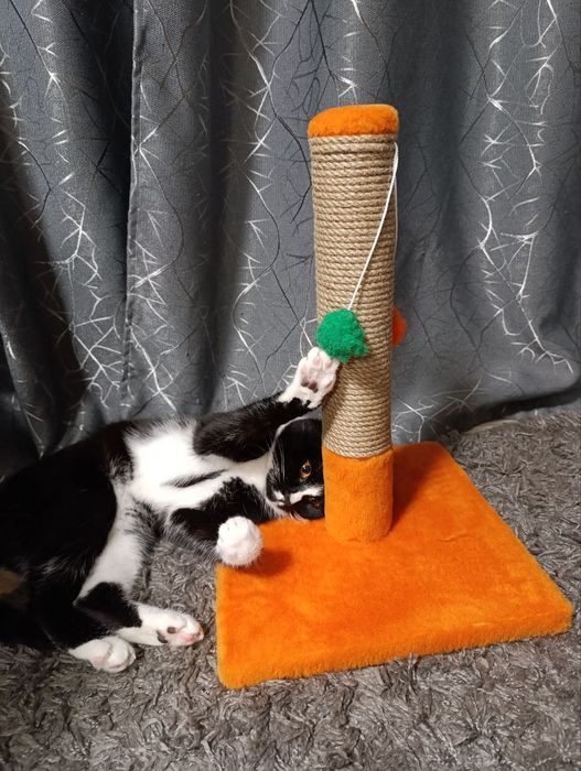 Когтеточка  дряпка для котенка