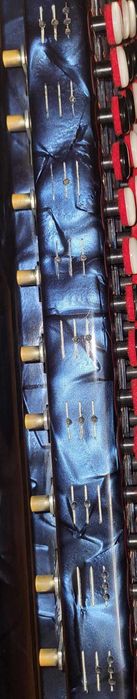 Acordeão Fratelli Crosio 120 Baixos + Caixa