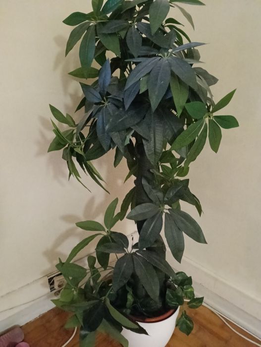 Planta artificial