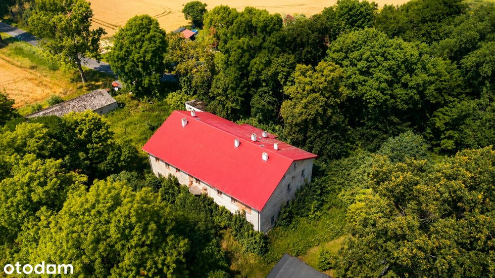 Dom – Milice, powiat kędzierzyńsko-kozielski - Widok 5