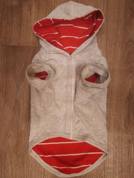 Одяг для маленького песика