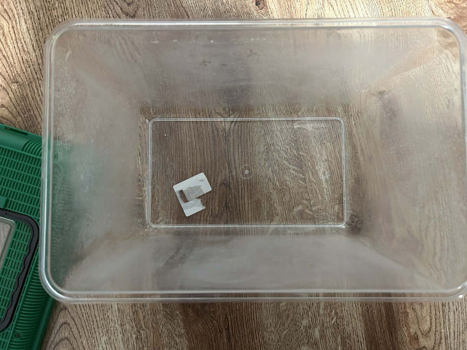 Terrarium / transporter