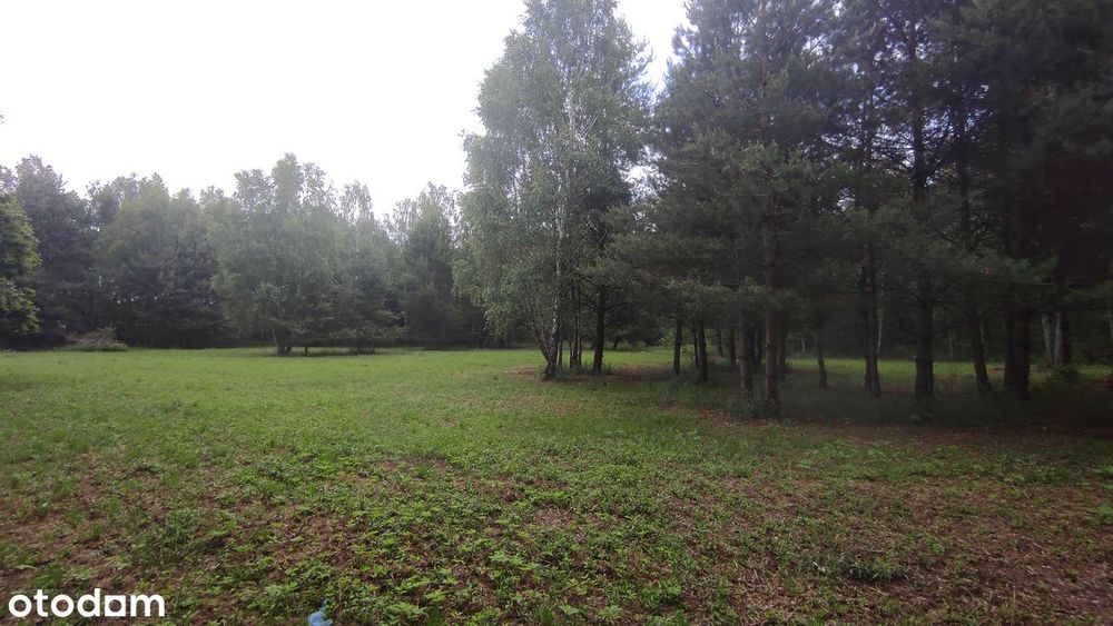 Działka rolno - budowlana 2279 m² Poschła koło Pilawy - View 2