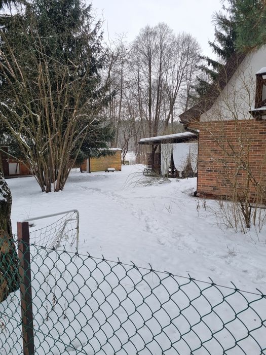 Zimowe noce las i widok gwiazd. Modrzewiowy domek nad Wkrą zaprasza