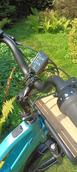 Rower elektryczny Cargo Bergamont Hans E-LT Cube riese Muller  haibike