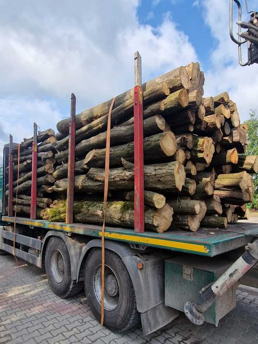 DĄB, BUK, GRAB, BRZOZA - piękne drewno opałowe kominkowe, 2,5m OKAZJA!