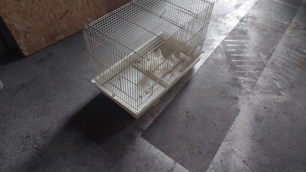 Vendo gaiolas usadas e viveiro