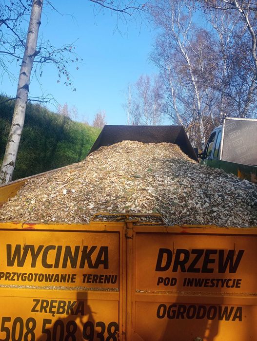 Zrębki  opałowe /ogrodowe z drzew liściastych.