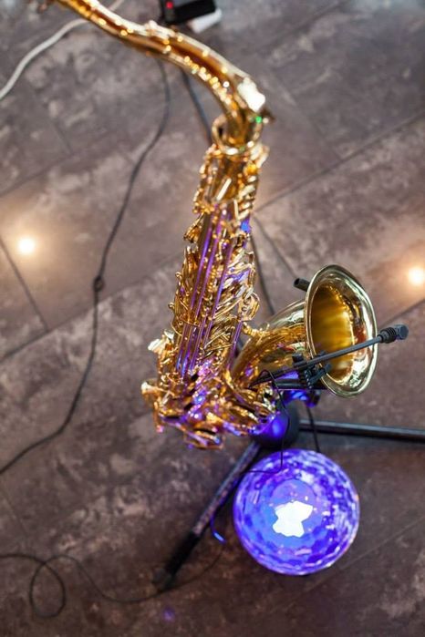 DJ / WODZIREJ / AKORDEONISTA - najlepszy wybór na Twoją imprezę !