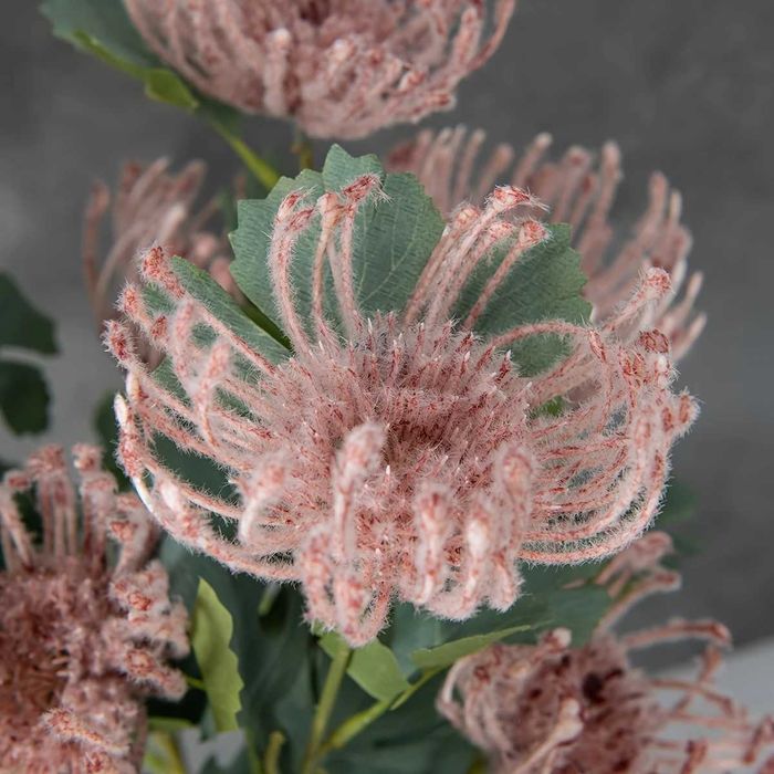 Sztuczny kwiat Protea w kolorze różowym 66 cm