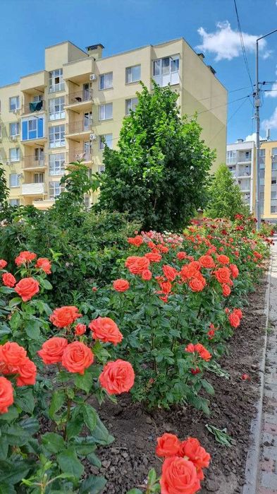 Продам однокомнатную квартиру на 2 этаже ЖК 7 НЕБО