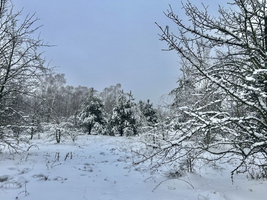 Земельна ділянка 78,7 Га !!! Фасівочка!