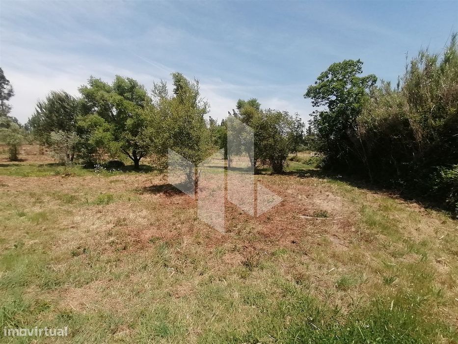 Terreno Rústico  Venda em Lobão da Beira,Tondela — Tondela E Nandufe, Viseu