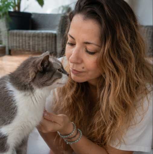 Pet sitting (cães e gatos)