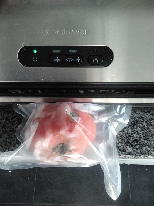 Máquina de Embalar a Vácuo FOODSAVER FFS017X-01