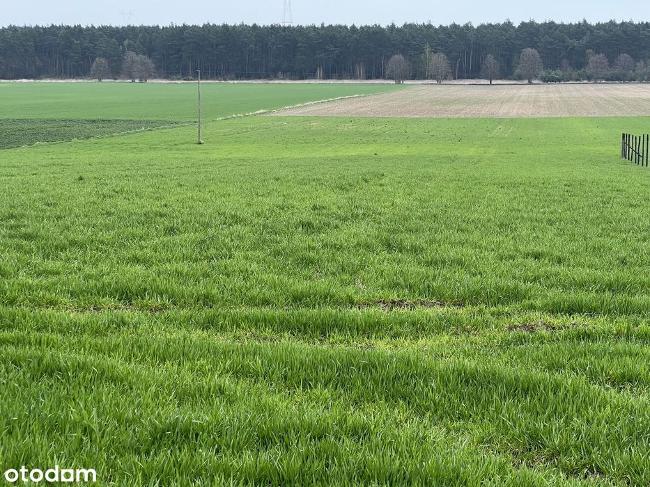 Działka budowlana -świetna lokalizacja - JEDNA Z OSTATNICH. - Widok 4
