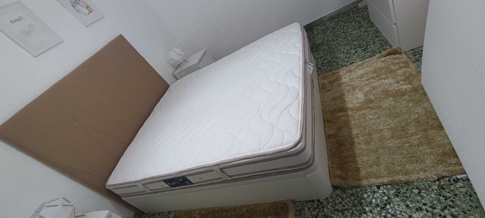 Colchão Molaflex coluna 2020