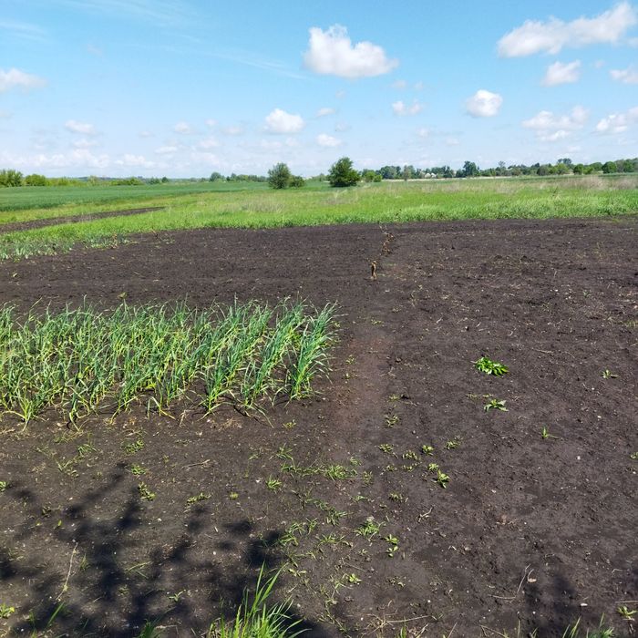 Продам Будинок с.Литвинове