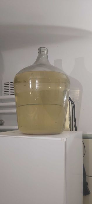 Gąsiory do  win
