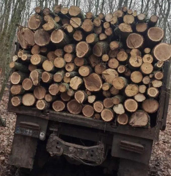 Дрова дубові рубані з ділянки, напряму, опт, роздріб. 3-5-6-10-27.5 м3