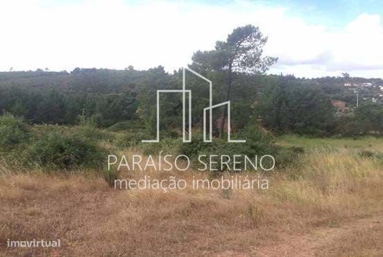 5 Terrenos Rústicos