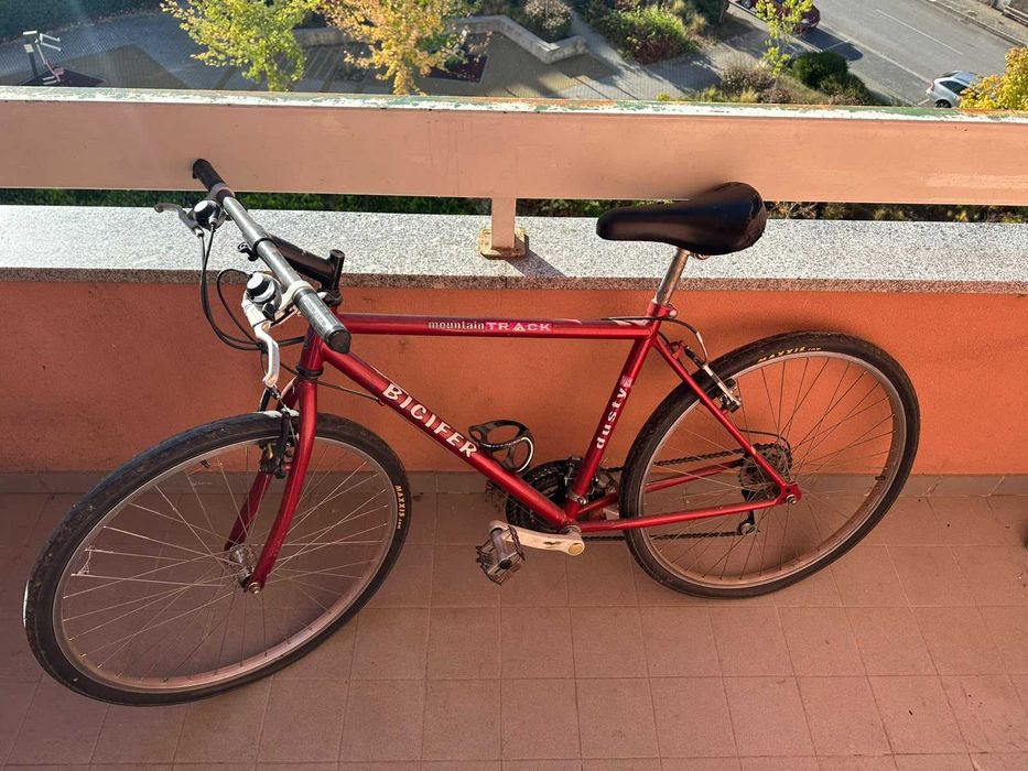 Bicicleta Mountain Track Bicifer