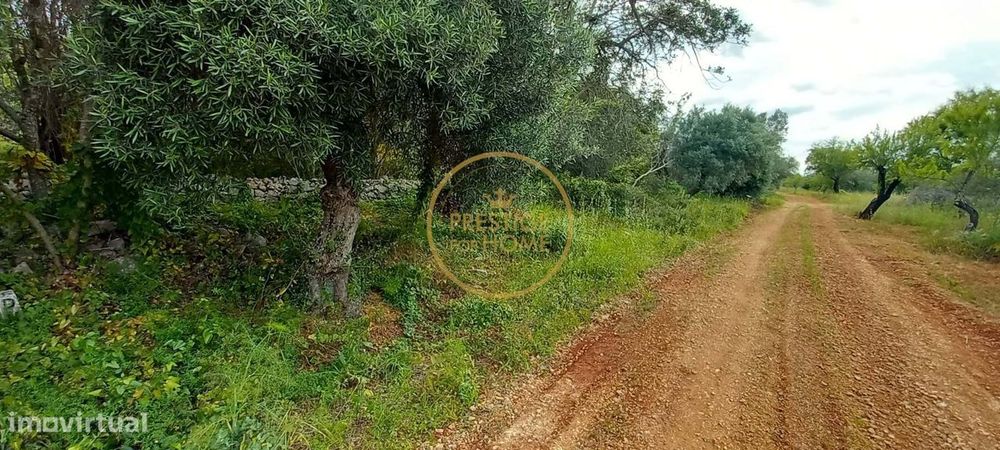 Terreno Rústico com Alfarrobeiras e Amendoeiras - 4860 m² de Natureza