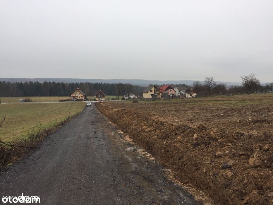 Pępice - piękne działki widokowe!