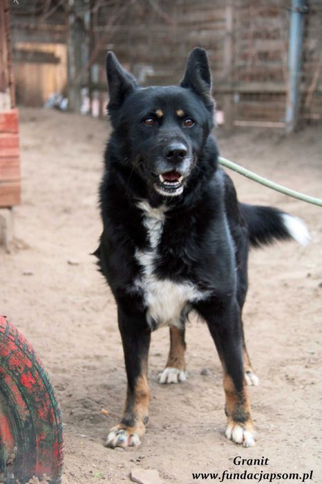 Granit - spokojny średniaczek