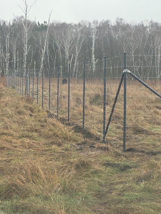 Ogrodzenie tymczasowe, leśne, budowlane