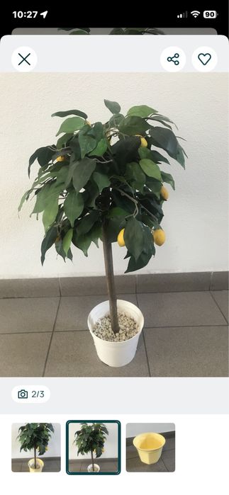 OKAZJA!!! Sztuczne drzewko cytrynowe + gratis