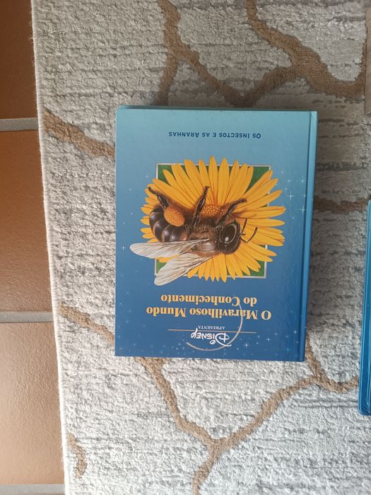Coleção de livros "o maravilhoso mundo do conhecimento" Disney