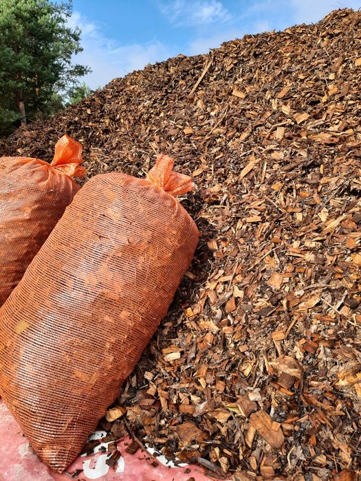 Zrębka liściasta z drzew owocowych - jabłoń czereśnia śliwa transport