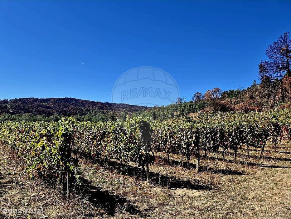 Terreno  para venda