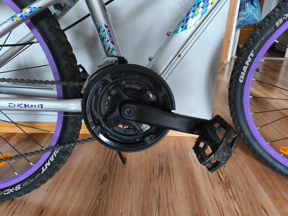 Rower Giant Live Enacht 24