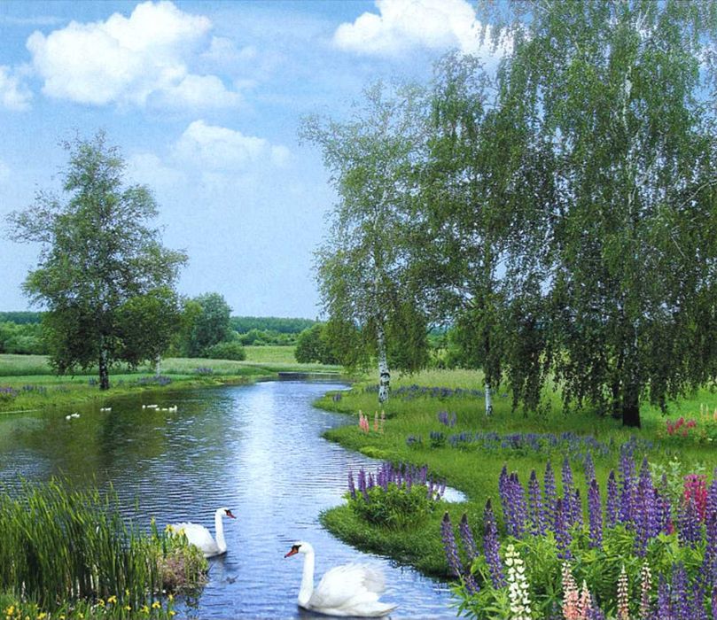 Фотообои глянцевые!  Шпалери.