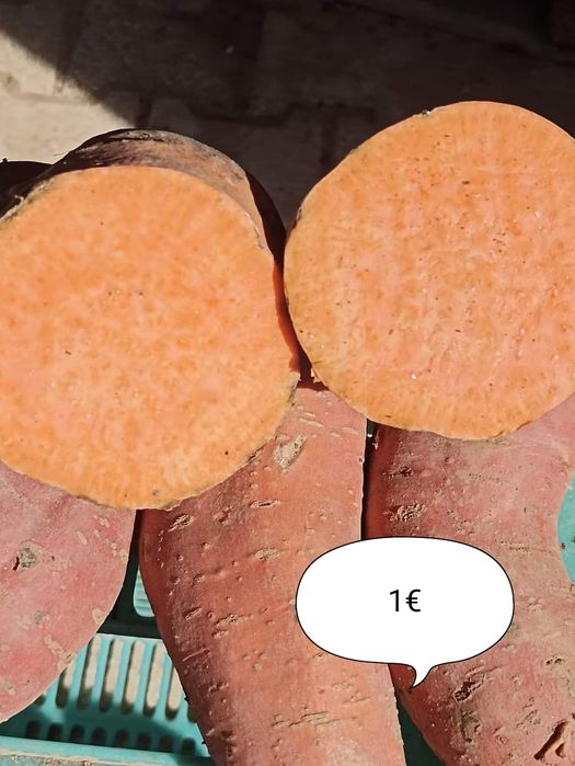 Batata doce laranja