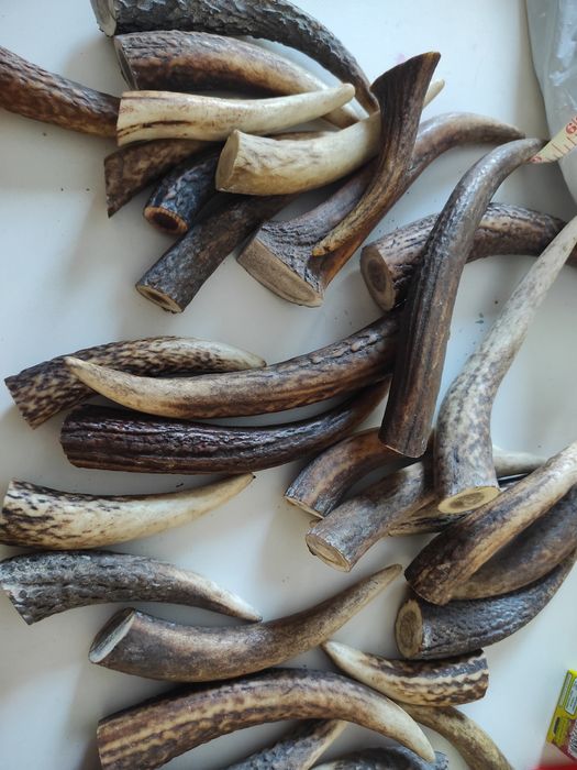 Koncowki porozy 15szt