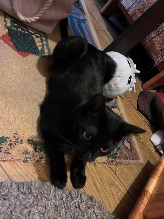 Seneka i Sokrates czekają na Ciebie