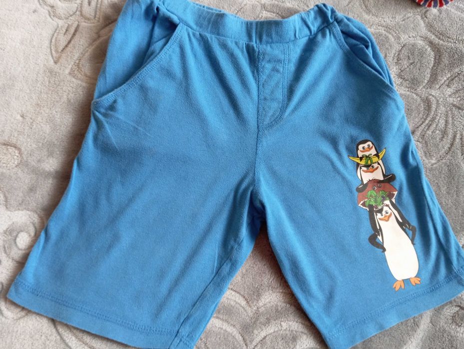 Spodenki Pingwiny z Madagaskaru