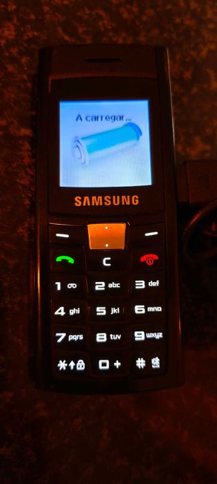 Samsung SGH-C170
