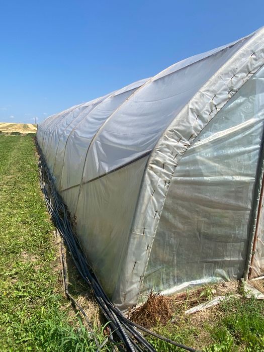 Tunel foliowy konstrukcja 32x7m