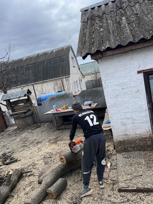 Спил дерев Розчищення ділянок Полтава та область
