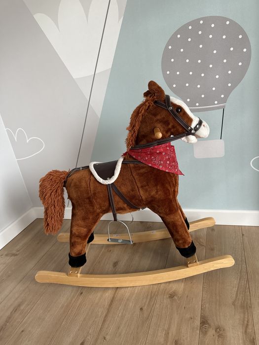 Konik na biegunach grajacy